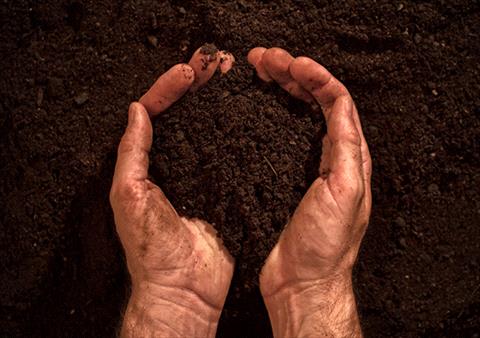 soil issues